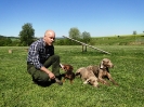 Martin mit seinen Hunden