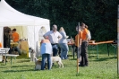 Tag des Hundes 2011