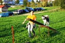Tag des Hundes 2011