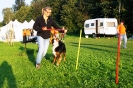 Tag des Hundes 2011