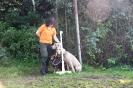 Tag des Hundes 2011