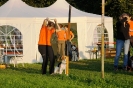 Tag des Hundes 2011