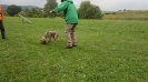 Jagdhundausbildung_1